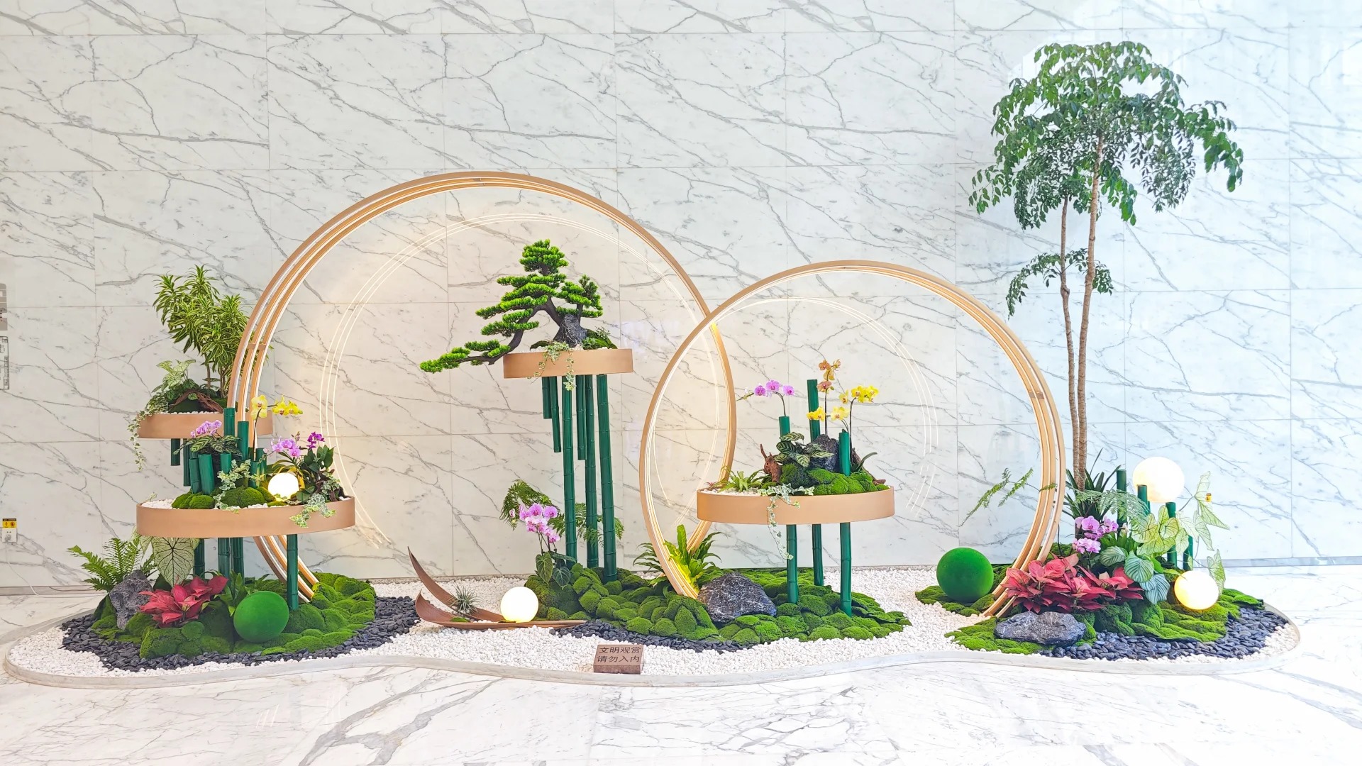 海曙植物租赁方案