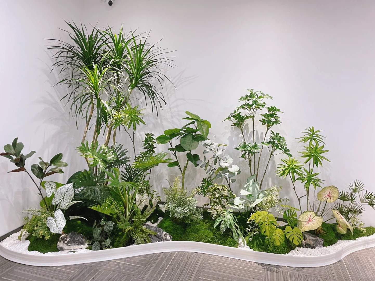 宁波杭州湾盆景出租服务好